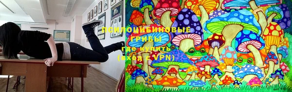 первитин Новозыбков