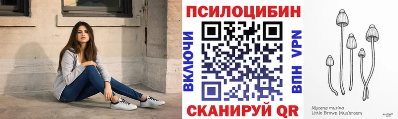 купить закладку Луза нарко площадка как зайти Псилоцибиновые грибы мухоморы